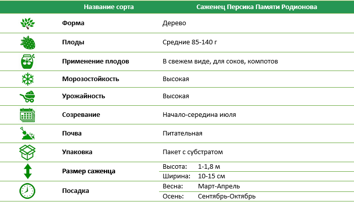 Персик Памяти Родионова