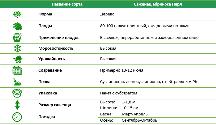 Абрикос Перл
