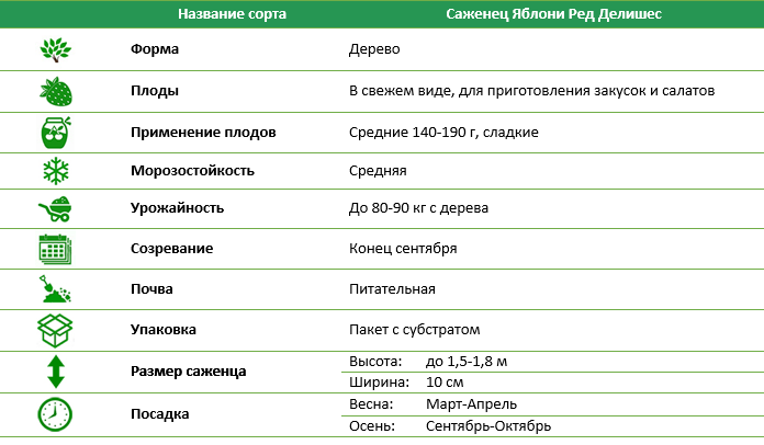 Яблуня Ред Делішес