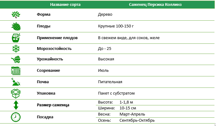 Персик Коллинз