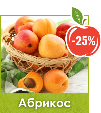 Саженцы абрикоса скидка