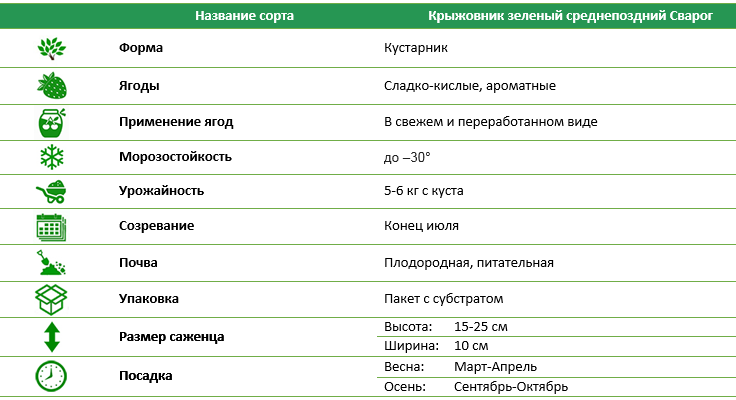 Крыжовник среднепоздний Сварог