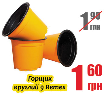 Акція Хіт-ціна 05.02.2018 - 18.02.2018