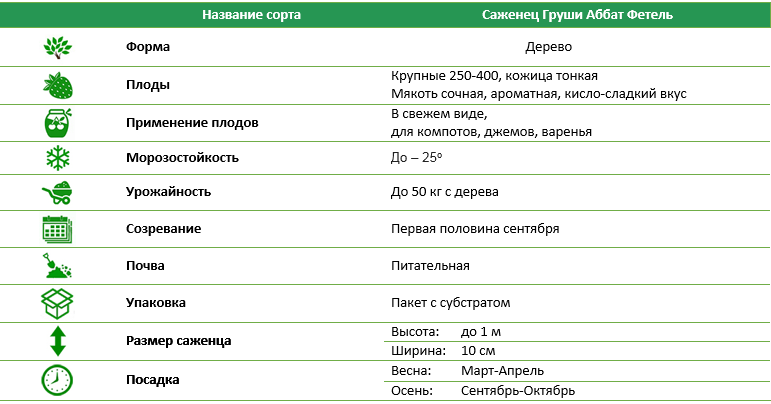 Груша Аббат Фетель