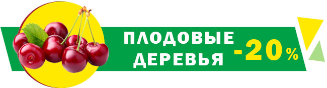 Скидки до -50%! Весенняя распродажа сезонных товаров!