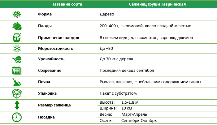 Груша Таврическая