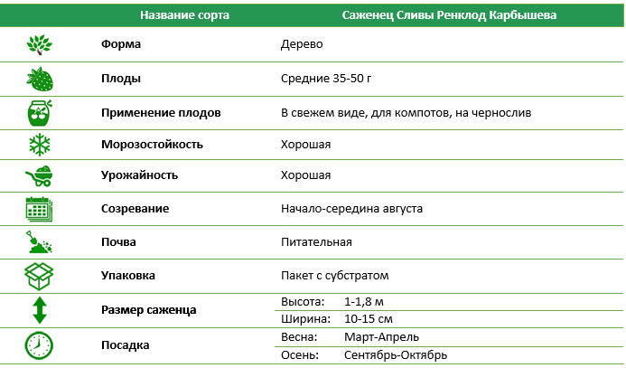 Слива Ренклод Карбишева