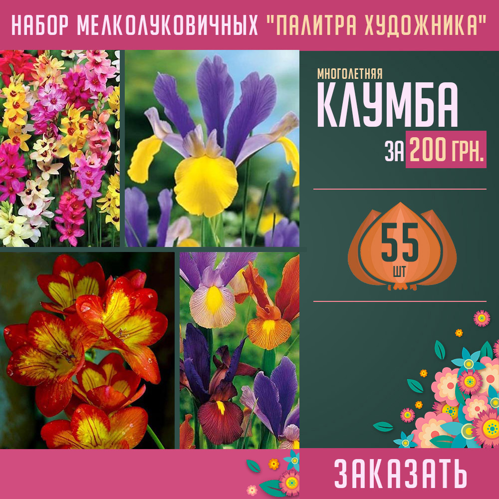 луковицы цветов купить украина