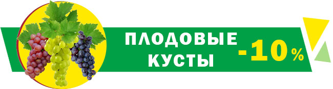 Скидки до -50%! Весенняя распродажа сезонных товаров!