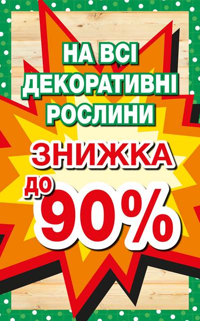 Распродажа осень.jpg