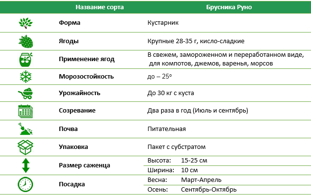 Брусника Руно