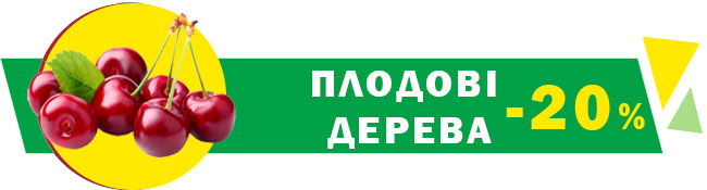 Знижки до -50%! Весняний розпродаж сезонних товарів!