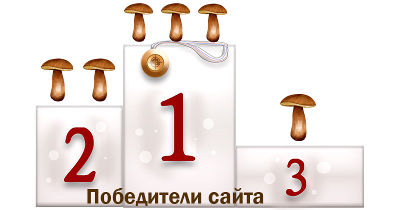 Мицелий грибов