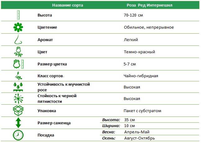 Ред Интернешнл.jpg