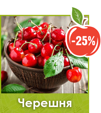 Саженцы черешни скидка