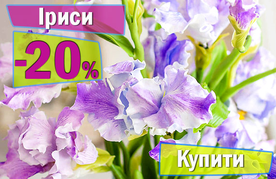 flowerbed 5.jpg Іриси купити