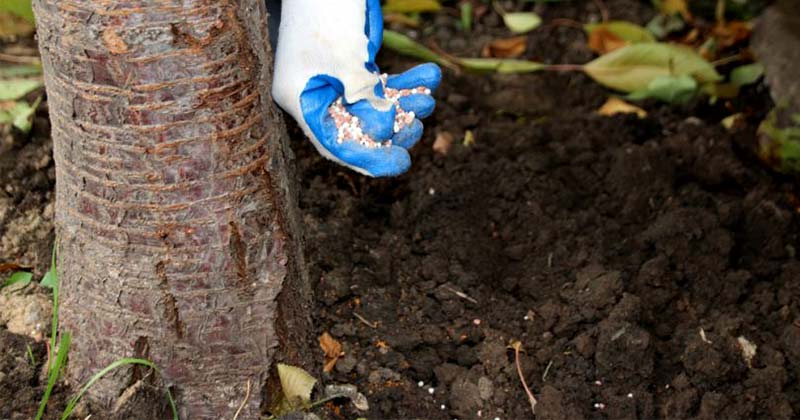 Удобрения на осень