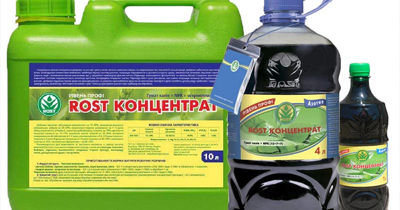 Рост-концентрат купить