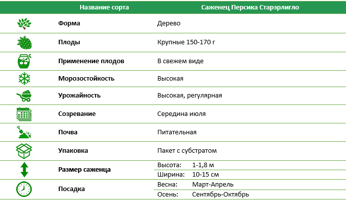 Персик Старкэрлигло