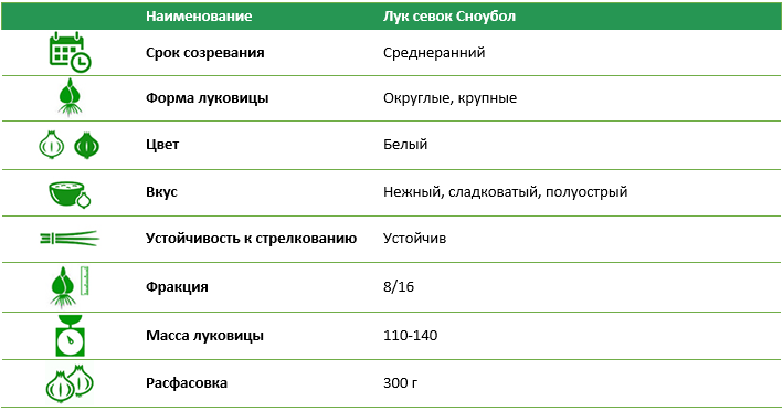 Лук-севок Сноубол 300 г