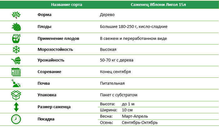 Яблуня Лігол 15л