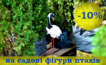 Знижка діє - вся Україна радіє. До Дня Незалежності знижки до -15%