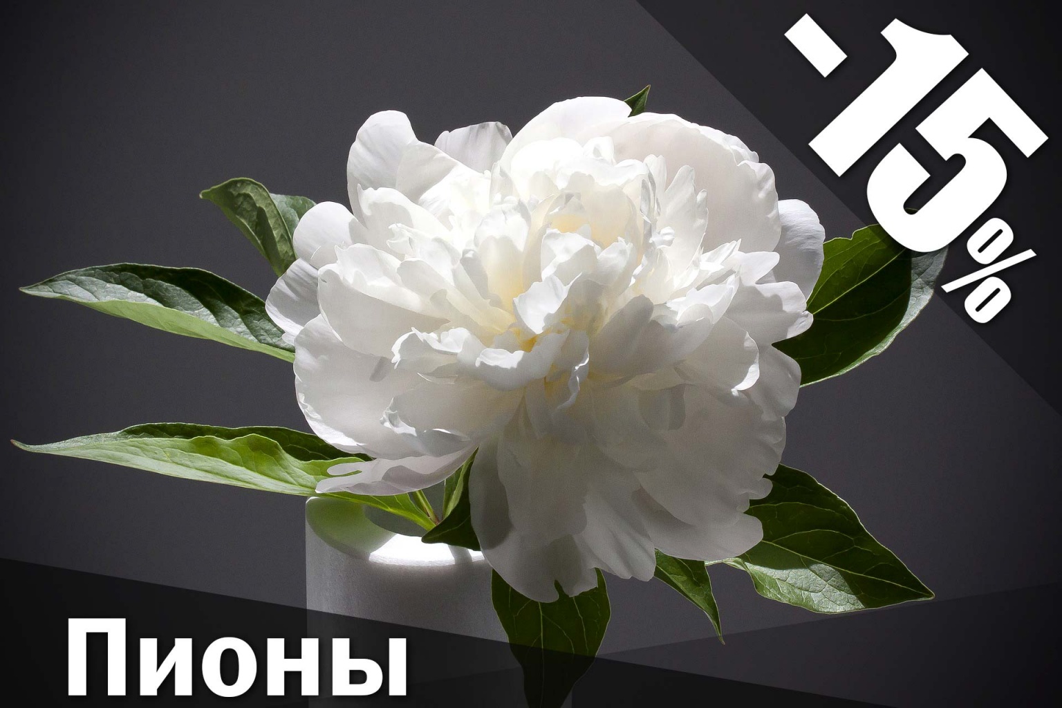 flowerbed 5.jpg Пионы купить