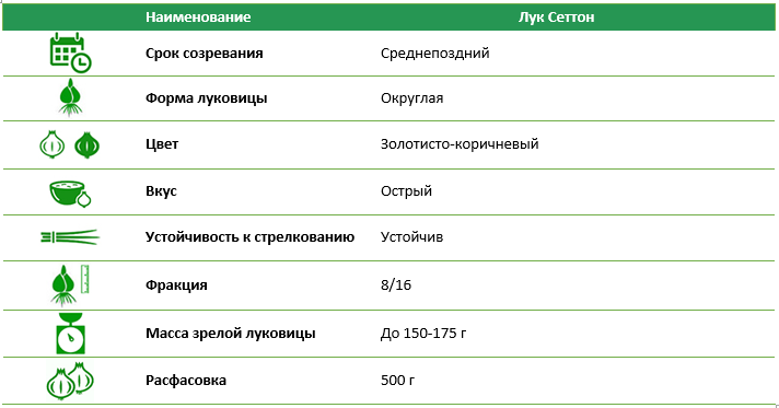 Лук севок Сеттон (Setton) 1шт (0,5 кг)
