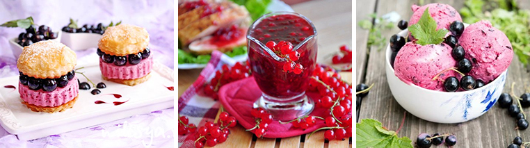 Красная смородина саженцы