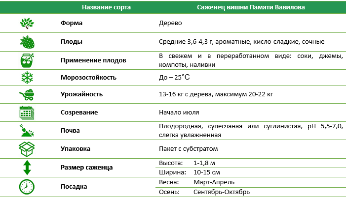 Вишня Пам'яті Вавілова
