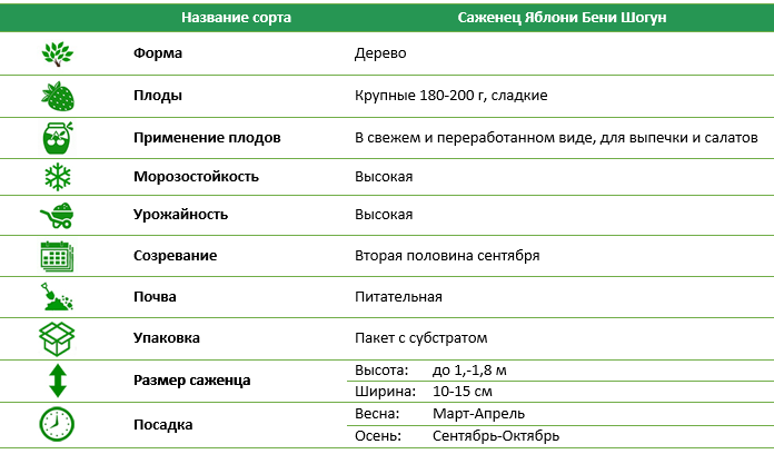 Яблуня Бені Шогун