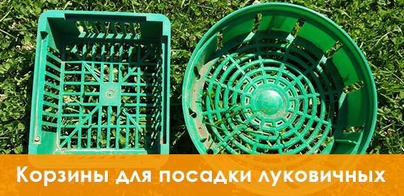 Корзина для посадки луковичных купить