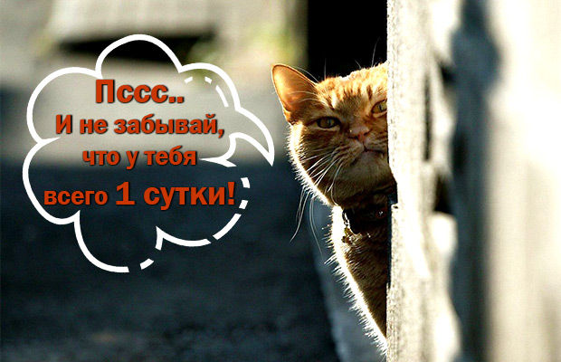 Скидки, Акции