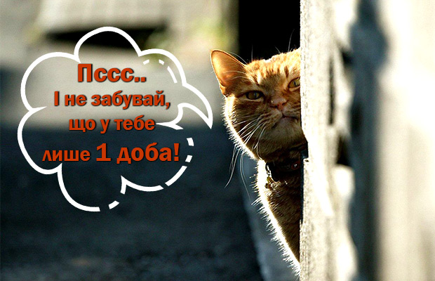 Знижки, акції