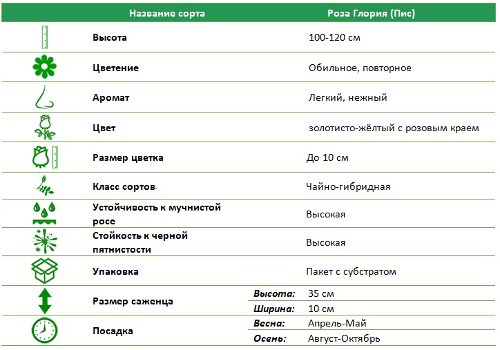 Глория Пис.jpg
