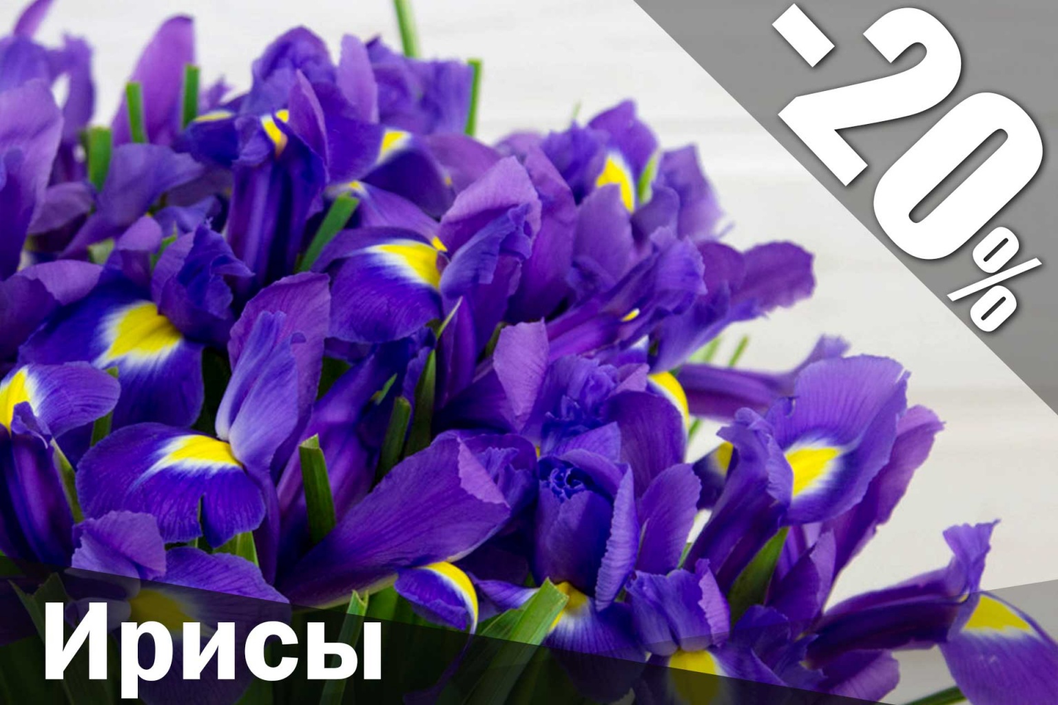 flowerbed 6.jpg Ирисы купить
