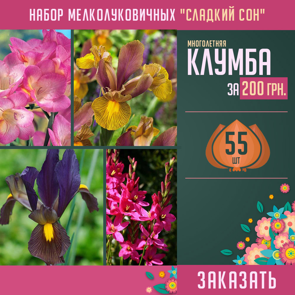 луковицы цветов купить украина