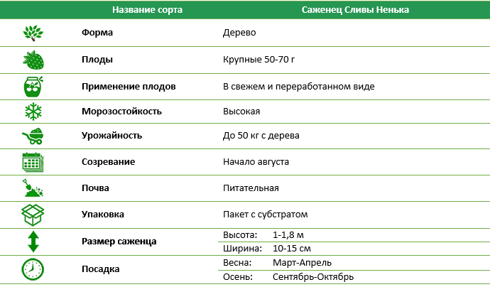 Слива Ненька