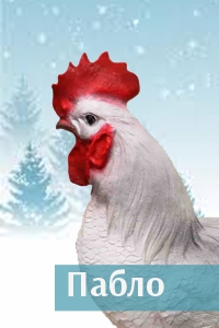 Пабло.jpg