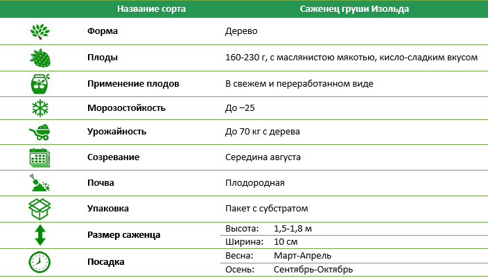 Груша Изольда