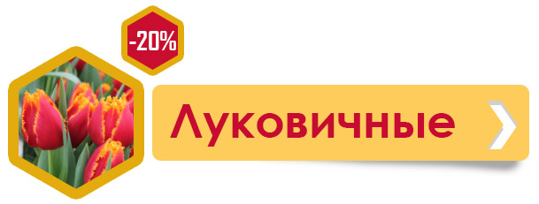 Медовий Спас: до -30% на квіти на честь свята!