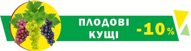 Знижки до -50%! Весняний розпродаж сезонних товарів!
