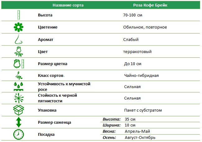 Кофе брейк.jpg