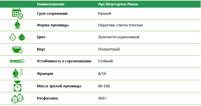 Лук-севок Штутгартен Ризен 300 г