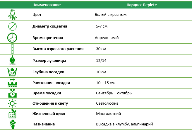 Нарцисс махровый Replete 12/14