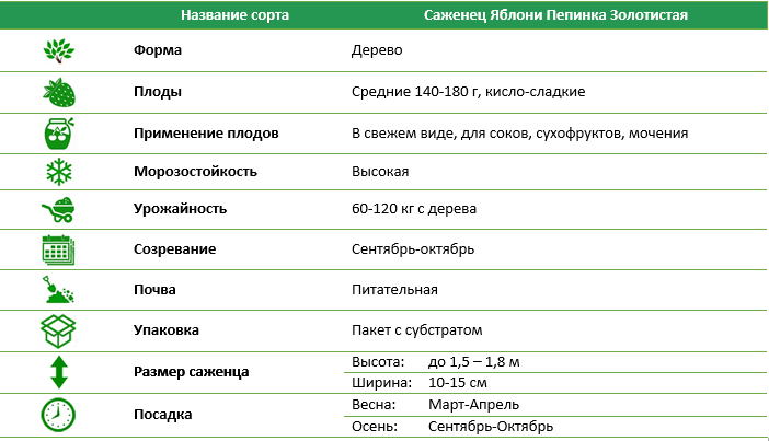 Яблуня Пепінка золотиста