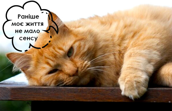 Цибулини квітів купити
