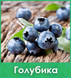 Голубика