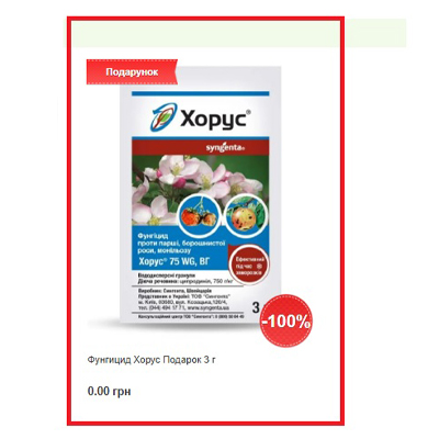 fungitsyd_khorus_podarunok.jpg
