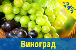 Саджанці винограду